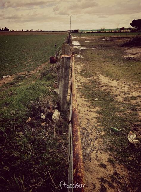 Torrijos En Medio Del Campo