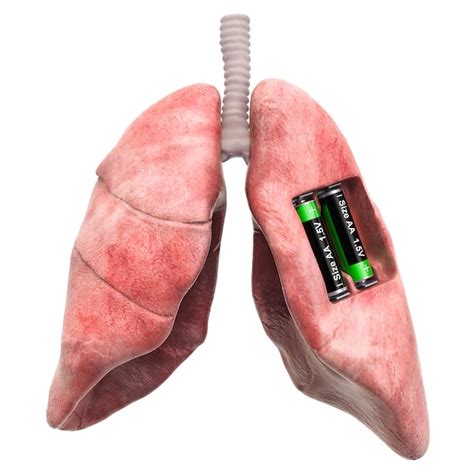 Pulmones Humanos Con Bater As Concepto De Recuperaci N Y Tratamiento