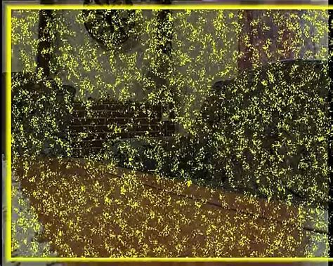 Milf Bekommt Ihre Fotze Gefistet Free Porn Xhamster