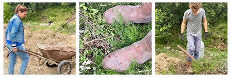 Création d un potager écoresponsable en culture sur buttes