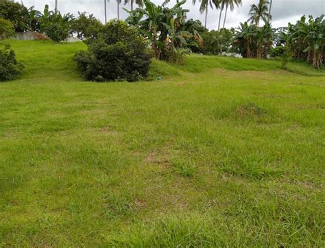 Agricultural Farm Lot For Sale San Jose Batangas Properties