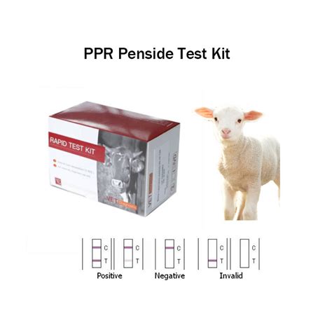 PPR Penside Test Kit Peste Des Petits Ruminants Antibody Test And