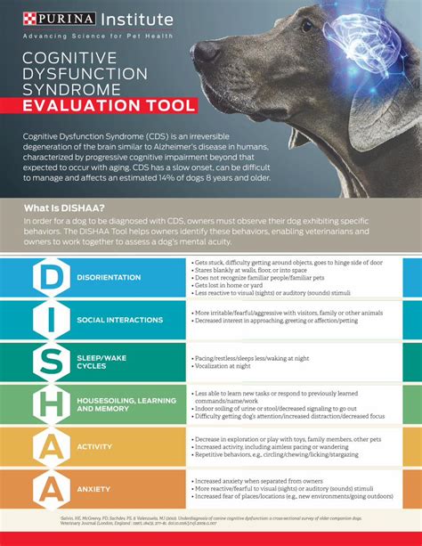 (PDF) COGNITIVE DYSFUNCTION SYNDROME EVALUATION TOOL · Cognitive ...