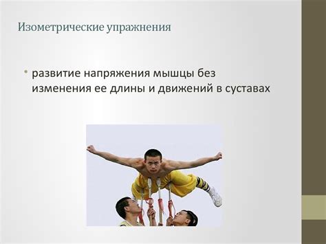 Физические качества. Сила, скорость, выносливость - презентация онлайн