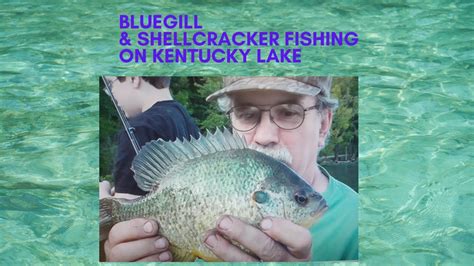 Bluegill And Shellcracker Fishing On Kentucky Lake Youtube