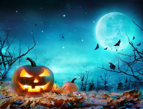 Download Moon Jack O Lantern Holiday Halloween 4k Ultra Hd Wallpaper