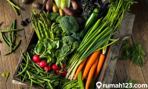 8 Cara Menyimpan Sayur Tanpa Kulkas Tetap Segar Dan Tahan Lama