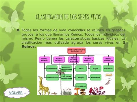 Tipos De Reinos De Los Seres Vivos