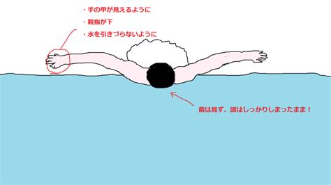 (初心者向け)バタフライを綺麗に泳ぐコツは？？ ドルフィンキックの蹴り方やタイミングなども含め、図解で説明してみました！