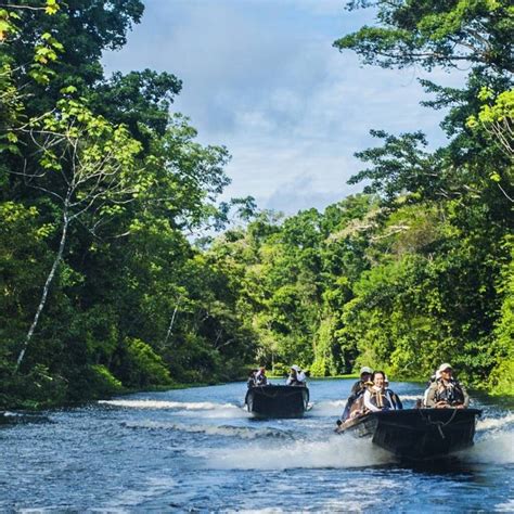 Blog Qu Hacer En La Selva De Iquitos Peru Vip Travel