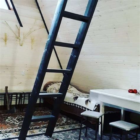 "Лесная сказка"