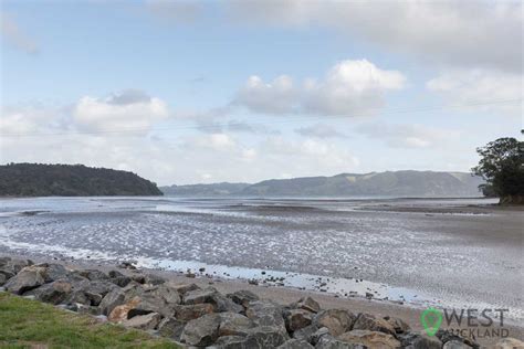 Huia Beach | A Hidden Gem In West Auckland