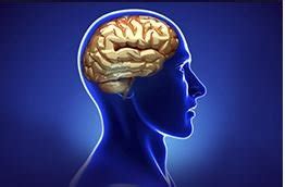 Encephalomalacia Symptoms, Definition, Prognosis, Treatment