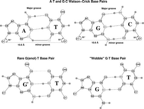 Comparison Of Hydrogen Bonding Interactions Chemical Structures