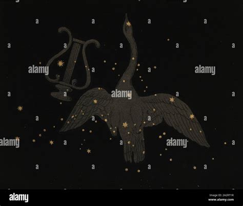 Constellations Swan Hi Res Stock Photography And Images Alamy