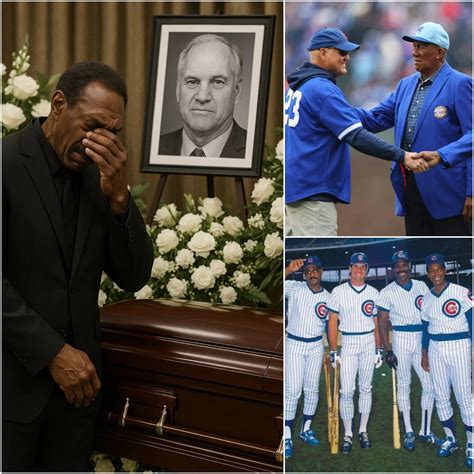 Windy - HEARTBREAKING: 'A part of me died with him' – Andre Dawson
