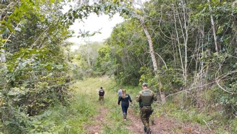 Idema participa de operação para combater desmatamento da Mata Atlântica