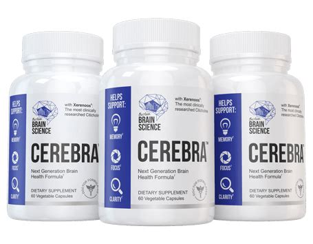 Cerebra Boston Brain Science Reviews – Does It Work? - Vents Magazine ...