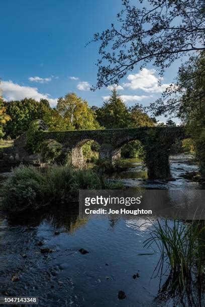 Celbridge Abbey Photos and Premium High Res Pictures - Getty Images