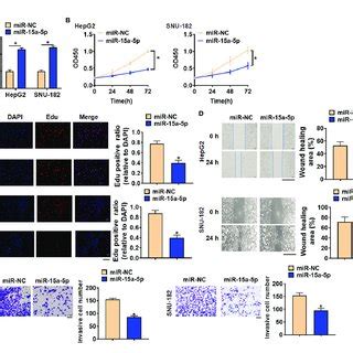 Overexpression Of MiR 15a 5p Inhibited The Viability Proliferation