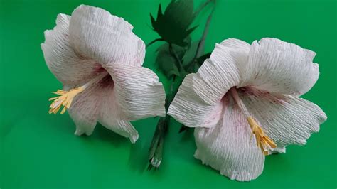 How To Make Hibiscus Paper Flower Easy Diy Paper Flower Paper