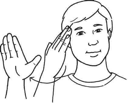 american sign language  body language dummies