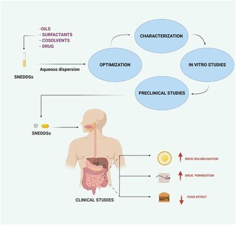 Pharmaceutics Free Full Text Self Nano Emulsifying Drug Delivery