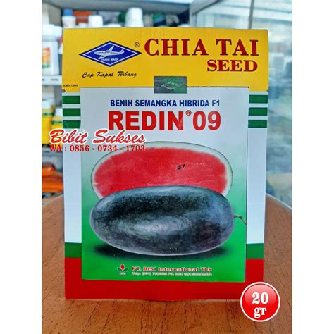 Jual Benih Bibit Semangka Merah Hibrida F Redin Gram Cap Kapal