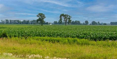 Who Can Buy Agricultural Land In The USA | Agri Farming