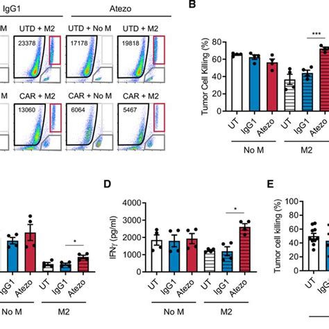 Pd L1 Blockade Restores Car T Cell Function In The Presence Of Download Scientific Diagram