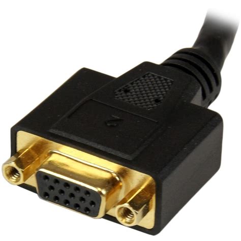 Startech In Dvi I Male To Dvi D Female And Hd Vga Female Wyse