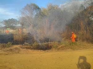 G1 Brigadistas combatem fogo em área rural de Palmas notícias em