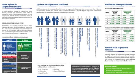 Qu Ayudas Puedo Pedir Si No Tengo Cargas Familiares Info Sepe