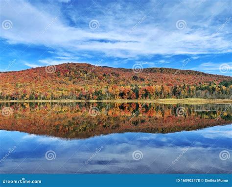 Autumn Landscape With Lake And Blue Sky Stock Photo Image Of Morning