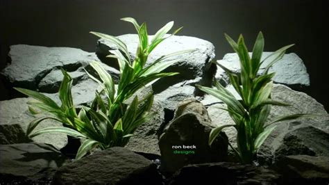 How to Make Silk Aquarium Plants: A Step-by-Step Guide for Stunning ...