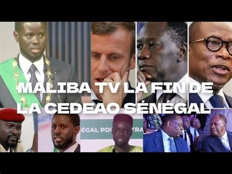 MALIBA TV BRAVO DIOMAYE FAYE ALASSANE OUATTARA MACRON PATRICE TALON