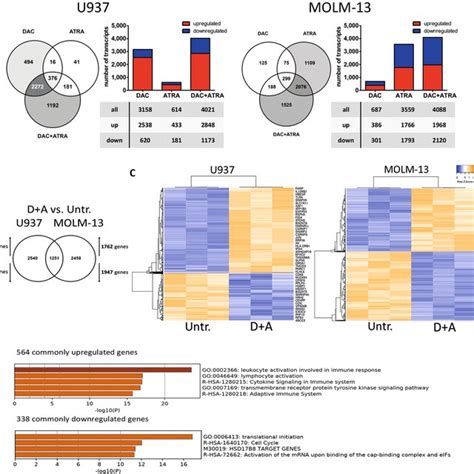 Decitabine And All Trans Retinoic Acid Exhibit Cooperative Effects On