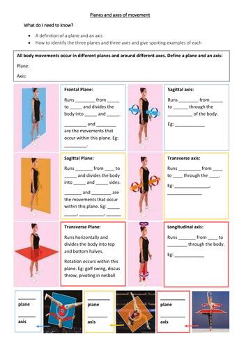 Gcse Pe Planes And Axes Of Movement Student Worksheet Teaching