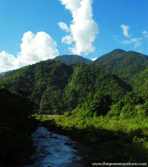 Eastern Himalayas near Pasighat, Siang River Valley, Arunachal Pradesh ...