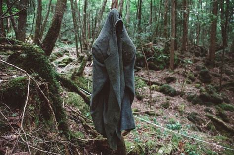 6 Cerita Tentang Kematian Misterius Dan Hal Menakutkan Di Hutan