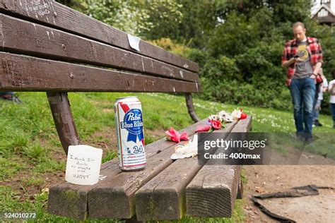nirvana fans stock  high res pictures  images getty images