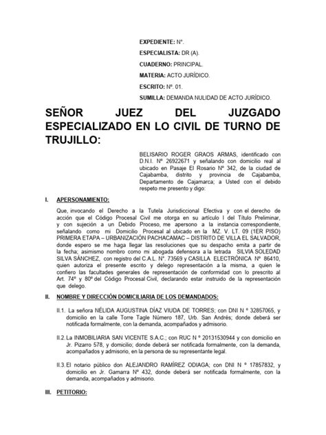 Modelo De Demanda De Nulidad De Acto Jurídico Descargar Gratis Pdf