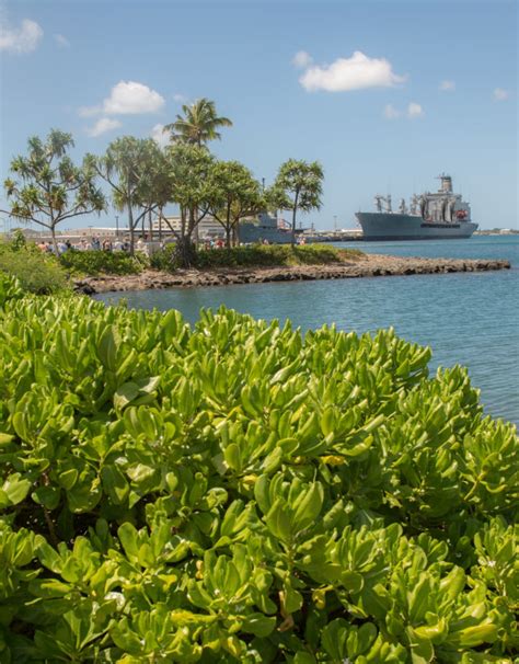 Discover Waikiki Beach | Hilton Hawaiian Village