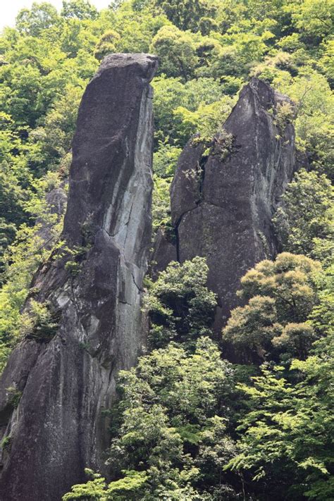 Free Images Tree Nature Forest Rock Trail Leaf Trunk Formation