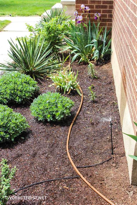 DIY Drip Irrigation System