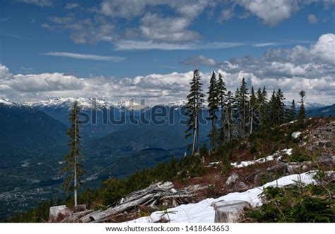 1 Endangered Caribou Habitat Images, Stock Photos & Vectors | Shutterstock