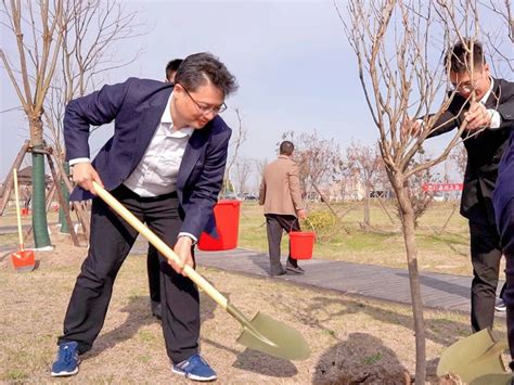 湾城春早来 植树添新绿 示范区开展义务植树活动 要闻速递