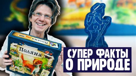 настольная игра "ПОЛЯНА" 🌾 Одиночный режим 🌾 Как выиграть у Бродяги и ...