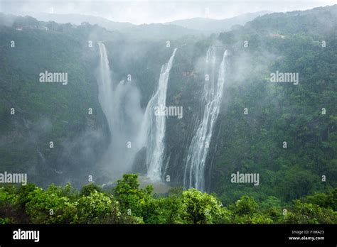 beautiful  scenic jog falls created   sharavathi river