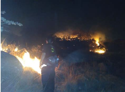 Fuego Consumi Hect Reas En Sierra De San Miguelito El Heraldo De